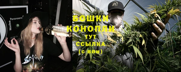 хмурый Кодинск