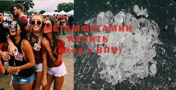 индика Козельск
